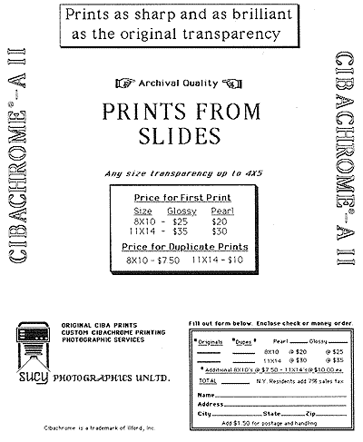 Print Label