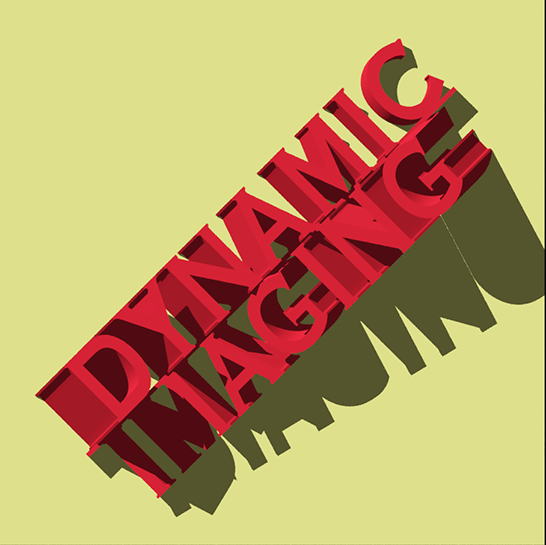 Dynamic Immaging