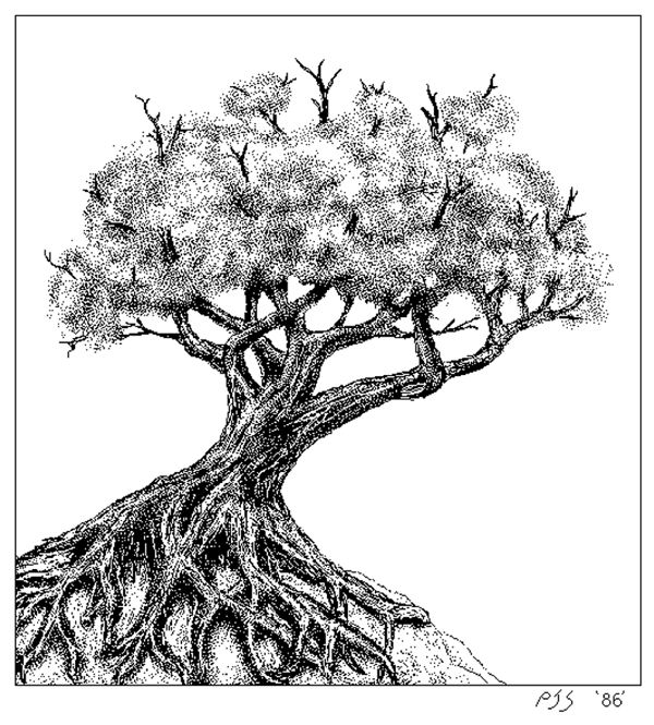 MacPaint Drawing - Old Oak Tree